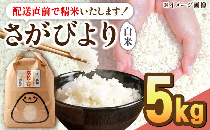 
            【発送月が選べる】＜14年連続特A評価＞令和6年産 新米 さがびより 白米 5kg 配送前精米 /江口農園 [UBF003] 白米 米 お米 精米 佐賀県産 特A
          