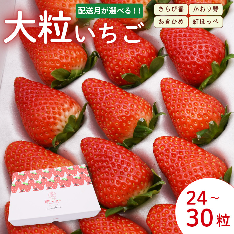 
【先行予約：選べる配送月】 【3ヶ月定期便】 いちご 大粒 24～30粒 2024年12月～2025年5月 順次発送 苺 旬 産地 直送 フレッシュ イチゴ 紅ほっぺ 章姫 あきひめ きらぴ香 かおりの フルーツ 果物 国産 ジャパン ベリー 静岡県 藤枝市
