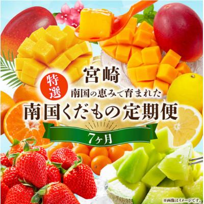 ふるさと納税 宮崎市 【発送月固定定期便】特選南国くだもの定期便全7回