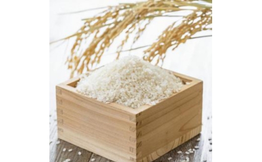 お米 ゆうだい21(精米)6kg(1.5kg×4袋)【1769468】