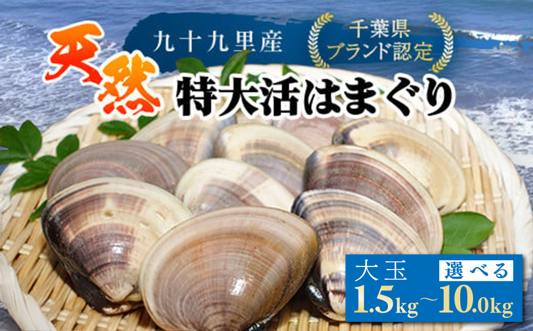 
            ＜選べる容量！1.5kg～10kg＞【千葉県ブランド認定】天然特大活はまぐり ／ふるさと納税 はまぐり ハマグリ 蛤 貝類 魚介 海鮮 お吸い物 パスタ パエリア お歳暮 贈答 お祝い 千葉県 山武市 SMBO
          