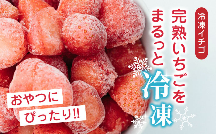 【限定数量】【全12回定期便】なかはた農園満喫セット ( 冷凍イチゴ 500g いちごジャム 1個 ジェラート 2種 × 各1個 ) アイス 熊本 農園直送 産地直送【なかはた農園】[YBI040]