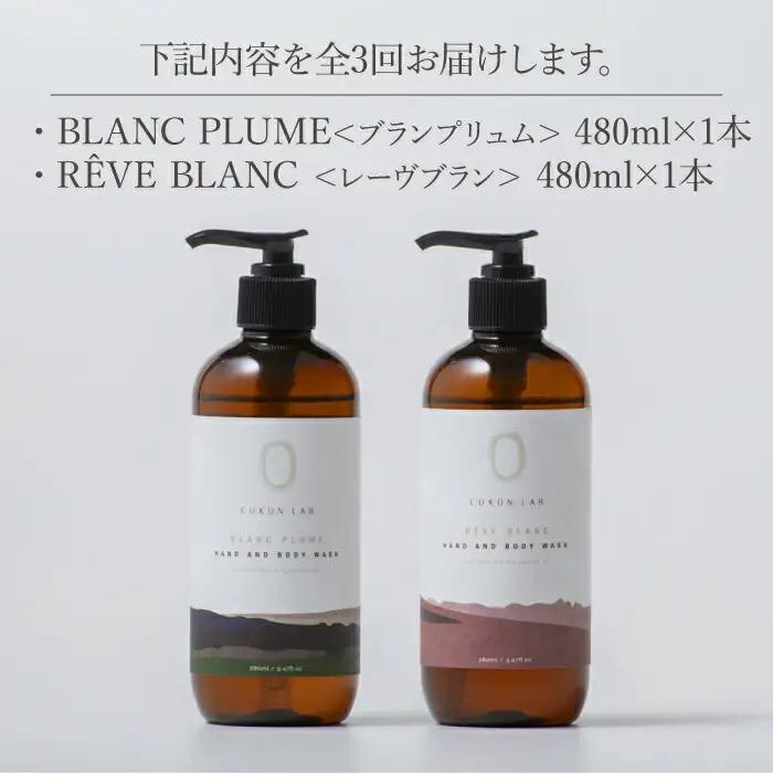 【全3回定期便】COKONLAB ハンド＆ボディウォッシュ BR480ml 2本セット【株式会社 あつまるホールディングス NSP山鹿工場】化粧品 コスメ 美容 国産 ボディケア ハンドケア [ZBR