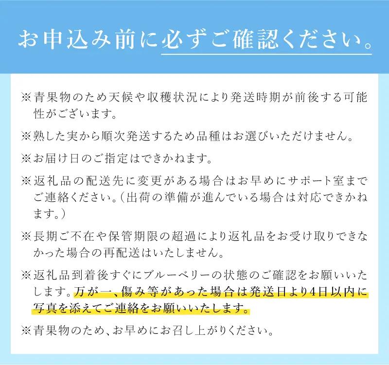 【2026年先行予約】大粒で甘い！生ブルーベリー3箱セット  [h185]