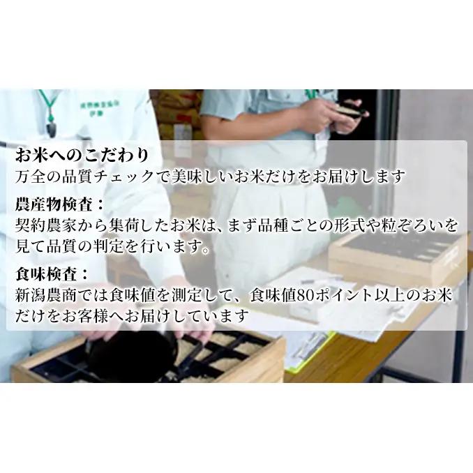 【先行予約】R8年産新潟産コシヒカリ精米5kg×2　全6回 お米 白米 ご飯 ブランド米 銘柄米 おにぎり お弁当 産地直送 