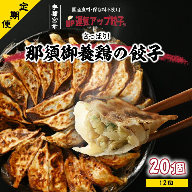 【ふるさと納税】【定期便12回】宇都宮餃子 運気アップ餃子 那須御養鶏の餃子20個　保存料不使用【ぎょうざ ギョウザ ギョーザ 冷凍食品 冷凍餃子 惣菜 夜ご飯 おかず おつまみ 手軽 時短 お取り寄せ グルメ 送料無料 栃木県 宇都宮市】※配送不可地域：離島