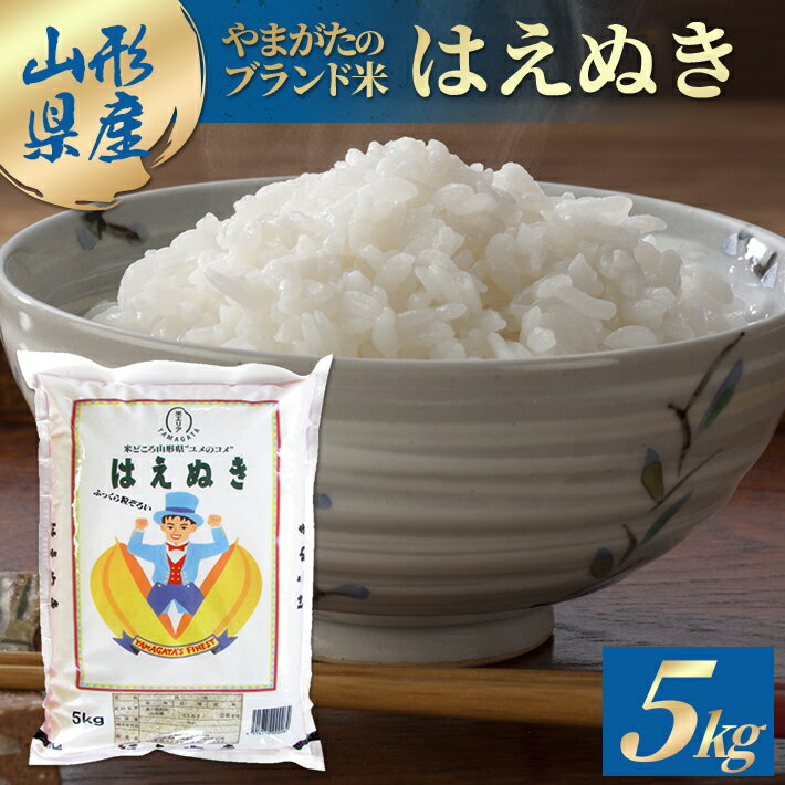 【ふるさと納税】はえぬき 5kg 令和7年産米 山形県産 ご希望の時期頃お届け 東北 酒田市 庄内地方 精米 白米 ブランド米 お米 ご飯 ごはん 小分け 便利