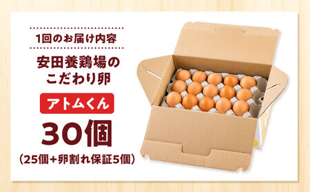 【全6回定期便】安田養鶏場の卵 アトムくん 30個入り 横須賀市 産地直送 割れ保証付き たまご 黄身 濃厚 卵 玉子 タマゴ 鶏卵 【安田養鶏場】[AKHN010]