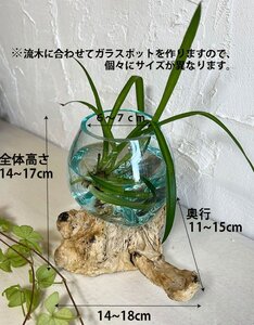 【選べる2サイズ】天然流木のガラスポット