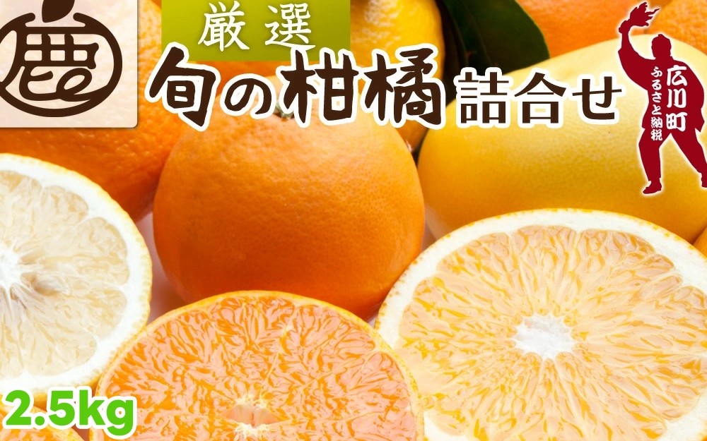 
            柑橘 詰合せ 2.5kg+250g（痛み補償分） 厳選 光センサー / 高級 みかん 不知火 清見 八朔 伊予間 セミノール レモン ３種類以上 詰め合わせ 晩柑 ※1月上旬～6月上旬頃に順次発送 ※北海道・沖縄・離島への配送不可 【ikd049-p-2d5A】
          