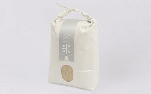 【令和7年度産】ユキノチカラ米　銀河のしずく　玄米10kg