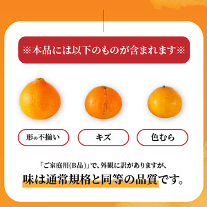【紅まどんなと同品種】愛果28号 家庭用 5kg まどんな 【先行予約 2026年11月下旬より順次発送】 【RNK0032】