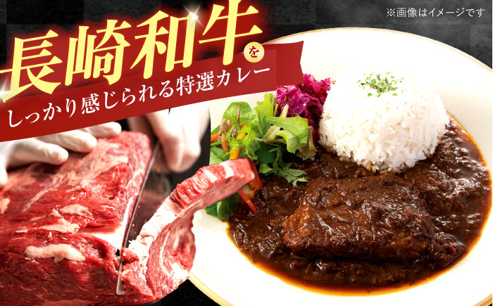 テレビで紹介された究極の贅沢カレー【長崎ランドール特撰カレー】250ｇ×4個入りギフトセット [AHBW004]