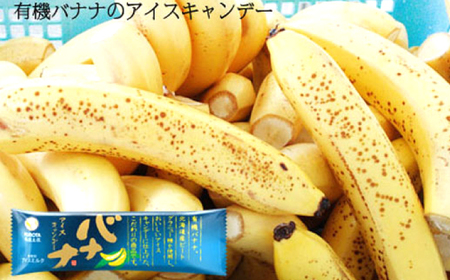 久保田 バラエティーキャンデーセットＡ | 久保田食品 アイス ギフト セット