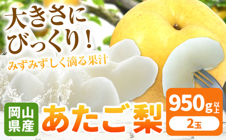 あたご梨 大玉2玉【配送不可地域あり】
