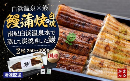 うなぎ蒲焼き、うなぎ白焼き　各1本セット（タレ・山椒付き）（合計：250～300ｇ)