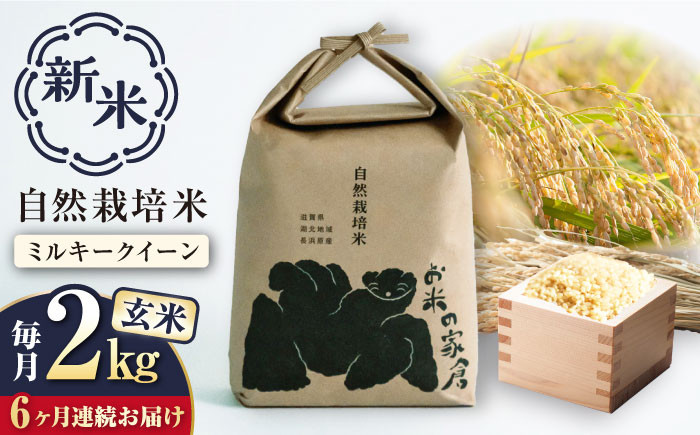 
            【新米：令和6年産】【全6回定期便】自然栽培 ミルキークイーン 2kg 玄米 ×6回　滋賀県長浜市/株式会社お米の家倉 [AQCP009] 米 定期便 玄米 新米 2kg
          