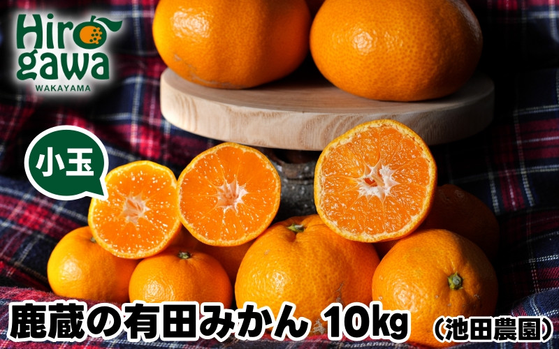 
            鹿蔵の 有田 みかん 訳あり 小玉 10kg 光センサー 選果 / 温州みかん 有田みかん 甘い 家庭用 和歌山 柑橘 ※11月順次発送予定 ※北海道・沖縄・離島への配送不可【ikd004-cs-10-novA】
          