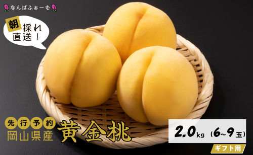 【2025年先行予約】［なんばふぁーむ］岡山県産 黄金桃 2.0kg（6～9玉）[ギフト用]