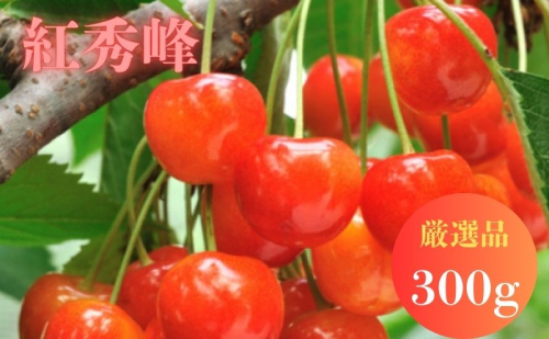 北海道 仁木町産 サクランボ 紅秀峰 300g 厳選品  松山商店