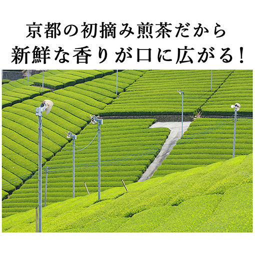 宇治茶飲み比べ4本セット　煎茶とかぶせ茶詰合せ（各100g入）　お茶の木谷製茶場　〈 宇治茶 煎茶 緑茶 かぶせ茶 茶 お茶 茶葉 飲み比べ 詰合せ 飲料 宇治 〉_イメージ4