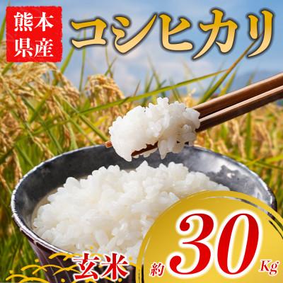 ふるさと納税 阿蘇市 コシヒカリ 約30kg(玄米) 阿蘇アグロスタイル