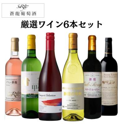 ふるさと納税 甲州市 〜甲州市で伝統あるワイナリーの1つ蒼龍葡萄酒の厳選6本セット〜