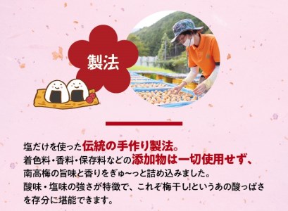 ＼たっぷり2.5kg／ 紀州南高梅 昔ながらの完熟南高梅使用梅干し 1.25kg×2パック / 梅 梅干し 梅干 訳あり わけあり ワケアリ 昔ながら 無添加 塩分濃度約20％ 無添加人気 大容量 大