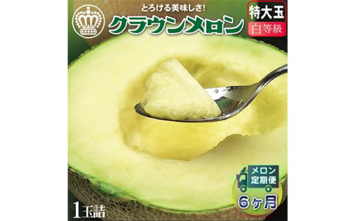 ＜毎月定期便＞クラウンメロン(白等級) 特大玉 1玉 全6回【4012658】