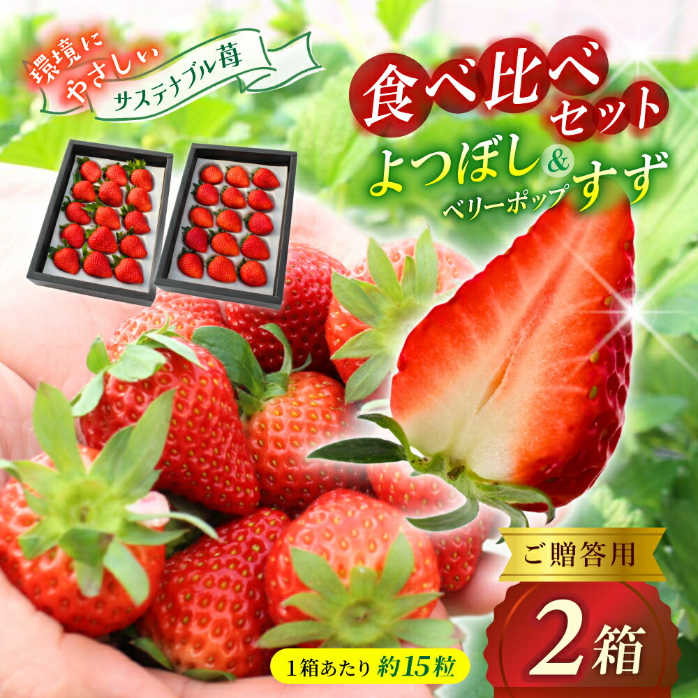 【ふるさと納税】【贈答用】 高級いちご よつぼし すず 食べ比べセット （15粒 × 2箱） ゆりかご入り / いちご イチゴ ストロベリー 苺 食べ比べ こだわり 新鮮 産直 産地直送 サステナブル 果物 フルーツ くだもの ギフト プレゼント 贈答 岡山県 真庭市 ハッピーファーム