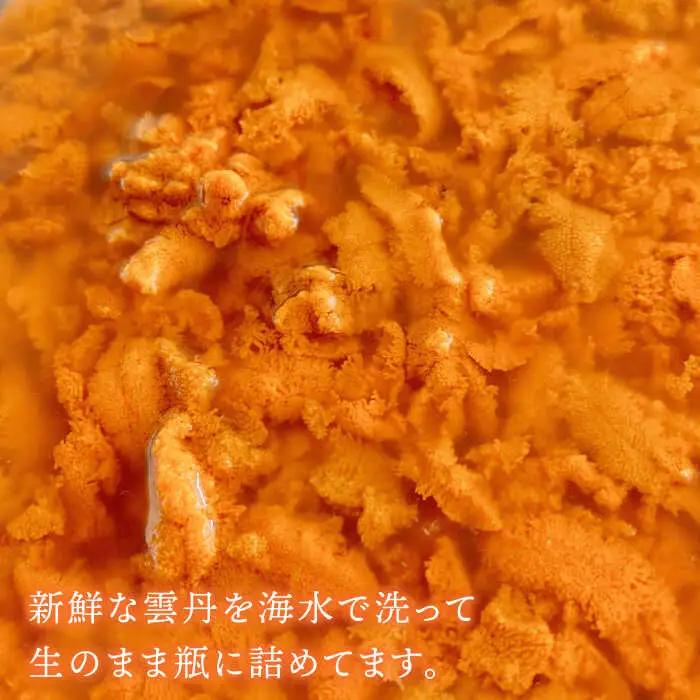 生うに 2本 [JBD005] 紫うに