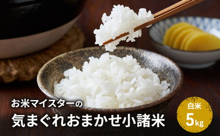 お米マイスターおすすめ小諸米 精米 5kg 信州 長野 ごはん ご飯 コメ コシヒカリ あきたこまち つきあかり 風さやか ひとめぼれ ゆうだい21