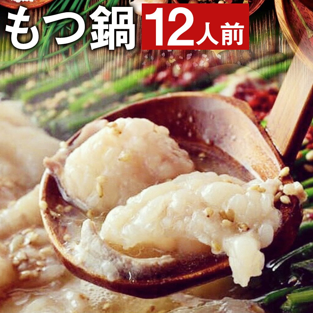 【ふるさと納税】九州鍋グランプリ受賞 ぷりぷりもつ鍋 (12人前) 《90日以内に出荷予定(土日祝除く)》菊池市産・熊本県産和牛使用 モツ鍋 鍋セット セット モツ 牛丸腸 無添加スープ ちゃんぽん麺 薬味付き 説明書付き 国産 九州産 熊本県産 送料無料