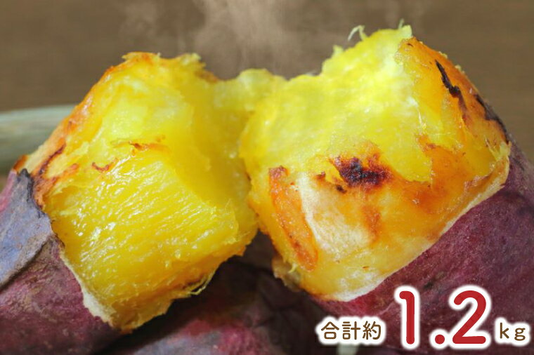 【ふるさと納税】【3ヶ月定期便】★少し大きめサイズ★熟成紅はるか冷凍焼き芋約1kg＋おまかせ品種さつまいも 合計約1.2kg｜さつまいも サツマイモ さつま芋 焼き芋 やきいも 冷凍 冷凍焼き芋 紅はるか 定期便 茨城県 行方市(EY-10)
