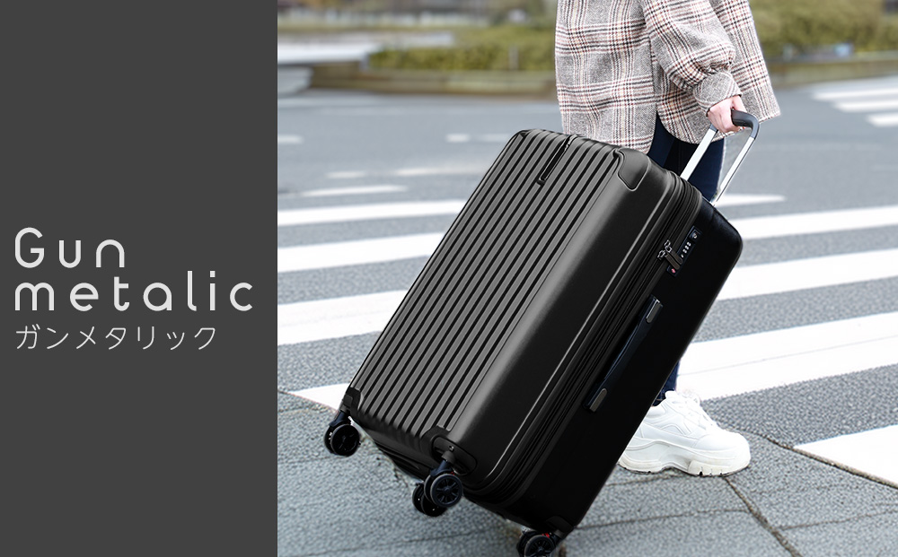  [PROEVO]ファスナーキャリー スーツケース 機内持ち込み LCC対応 100席未満 SSサイズ (エンボス/ガンメタリック) [10001S] AY279