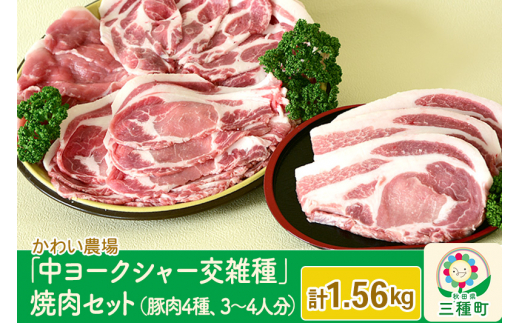 かわい農場「中ヨークシャー交雑種」焼肉セットA（豚肉4種類、3～4人分） しっぽ豚