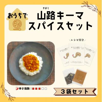 ふるさと納税 飯山市 おうちで山路キーマスパイスセット　3袋