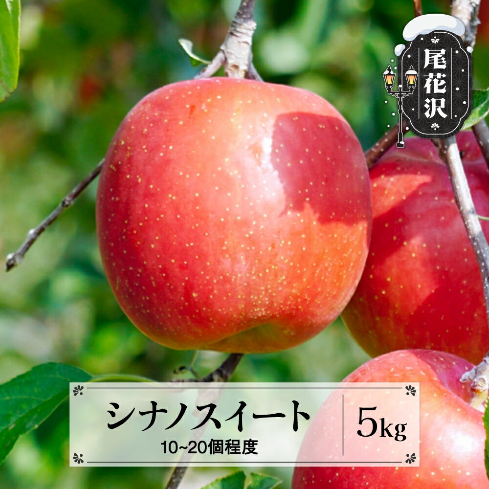 【ふるさと納税】先行予約 りんご シナノスイート 秀品 5kg (10~20個程度) 10月中旬~11月中旬頃発送 山形県産 フルーツ 果物 くだもの リンゴ 2025年産 令和7年産 佐竹物産 sb-rissx5※沖縄・離島への配送不可