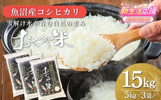【コシヒカリ】令和7年産 新潟県 魚沼産コシヒカリ 計15kg (5kg3袋) 徹底した品質管理でお届け！ JA魚沼 | 新潟産コシヒカリ 特A評価 魚沼産 新潟県産コシヒカリ 新潟県産こしひかり 魚沼コシヒカリ お米 米 こしひかり 白米 精米 ブランド米 特A評価地区【0002-JA14-02】