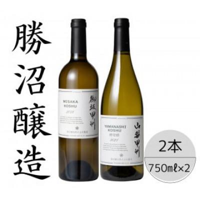 ふるさと納税 笛吹市 勝沼醸造　御坂甲州・山梨甲州樽発酵　計2本セット 167-039
