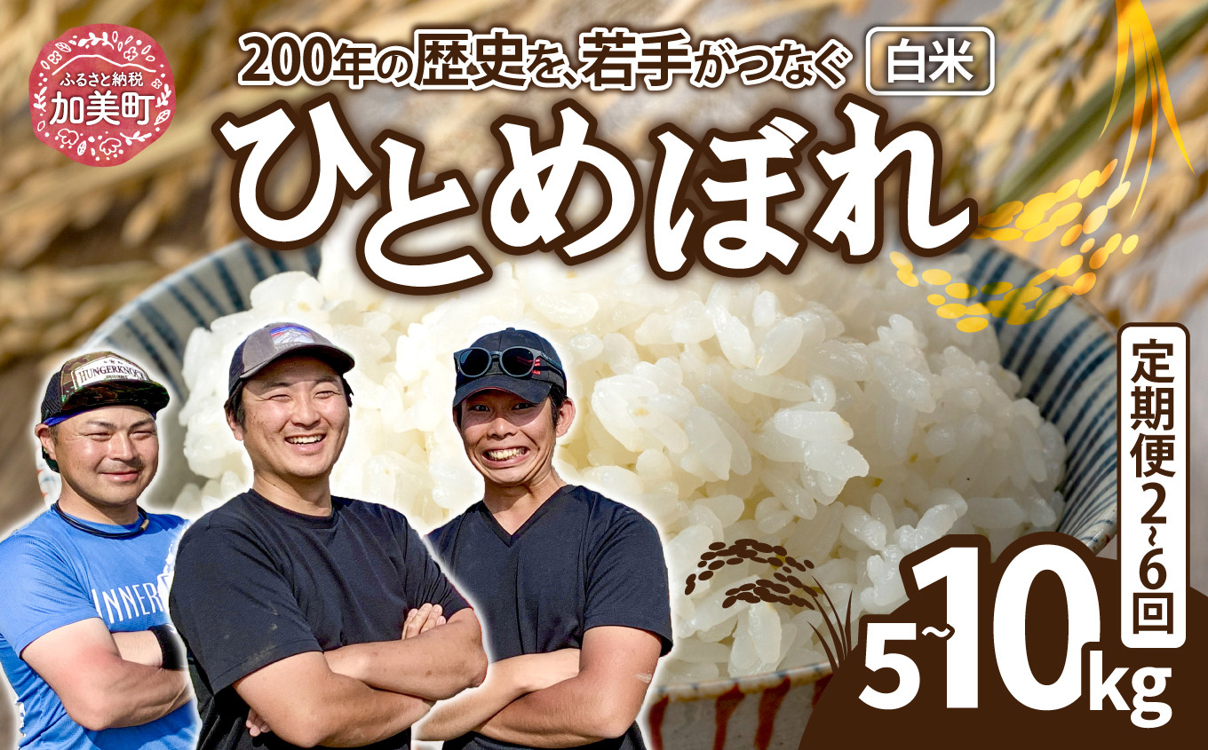 
            【選べる配送回数】 米 宮城県産 ひとめぼれ 5kg 10kg 定期便 《 令和7年産 新米予約 》 白米 精米 ご飯 ごはん コメ こめ お米 小分け 家庭用 結心ファーム [ 宮城県 加美町 ]  
          