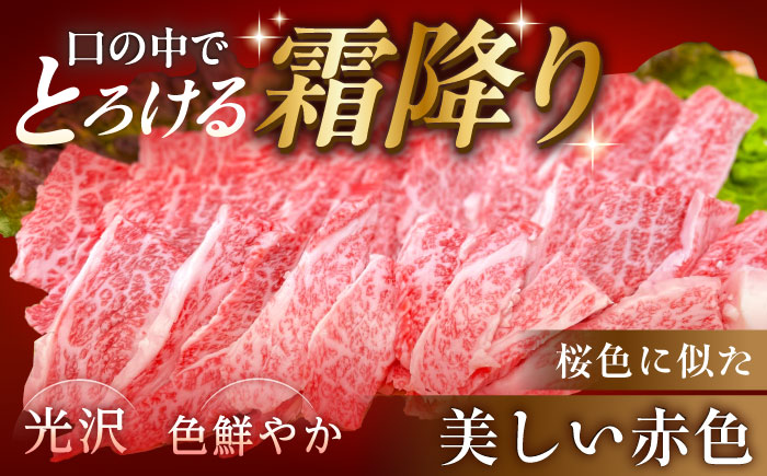 【チルド（冷蔵）発送！】 「飛騨牛」 A5等級 焼肉用3種盛り！ ロース・もも・バラ 各300g / 牛肉 焼肉 鉄板焼き 網焼き BBQ/ 恵那市 / 東美濃農業協同組合 [AUFX023]