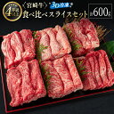 【ふるさと納税】＜3D冷凍＞宮崎牛食べ比べスライスセット(100g×6種類) 4等級 A4ランク 牛肉 ブランド すき焼き しゃぶしゃぶ ※90日以内に発送