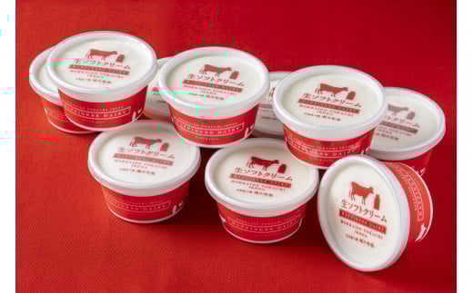 お届けは10個です（イメージ画）