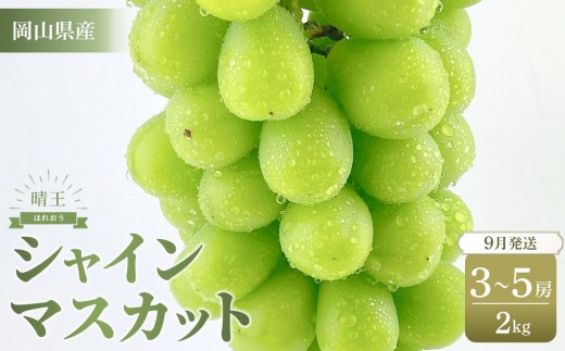 
                  ぶどう 2026年 岡山県産 シャインマスカット 晴王 約2kg（3～5房)【シャイン マスカット 葡萄 新鮮 岡山県 おすすめ 人気 種無し 皮ごと食べる フレッシュ ハレノフルーツ】
                