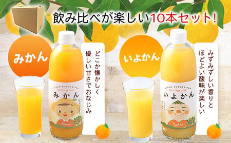 ＜マルワフルーツ柑橘アソート 100％ストレート果汁ジュース 500ml×10本＞ 詰め合わせ セット スイーツ 果物 フルーツ みかん オレンジ 柑橘 清見 でこひめ 河内晩柑 伊予柑 せとか 特産