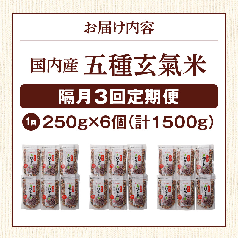【隔月3回　定期便】国内産 五種玄氣米 250g×6個 1500g×3回_国内産 五種玄氣米 250g×6個 お届け回数 3回 玄米 ブレンド 雑穀米 もち赤米 うるち玄米 もち玄米 もち黒米 もち緑米 プチプチ もちもち 混ぜて炊くだけ 冷めても美味しい 主食 おにぎり 弁当 食卓 華やか 福岡県 久留米市 送料無料_Tk025