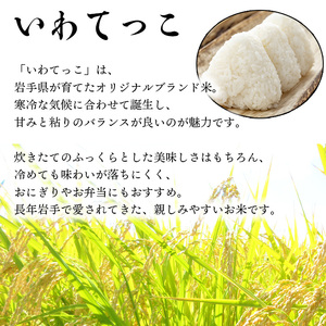 【令和7年産】 いわてっこ 玄米 20kg ／ 十一代目藤助 こめ 米 コメ お米 おこめ ご飯 ごはん げんまい おにぎり お取り寄せ 産地直送 農家直送 単一原料米 国産 国産米 東北 岩手県産 