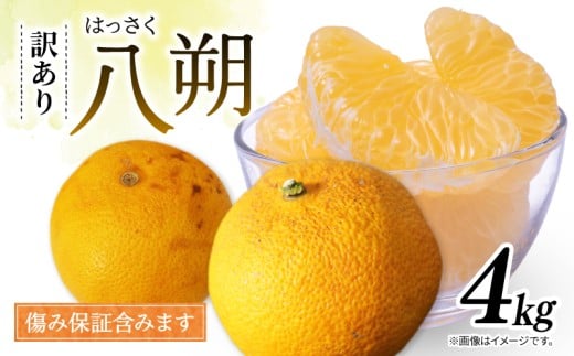訳あり 八朔 約4kg   南知多町産  柑橘 果物 フルーツ デザート 人気 おすすめ 愛知県 南知多町 ふるさと納税 ふるさと納税柑橘 愛知県産 南知多町産