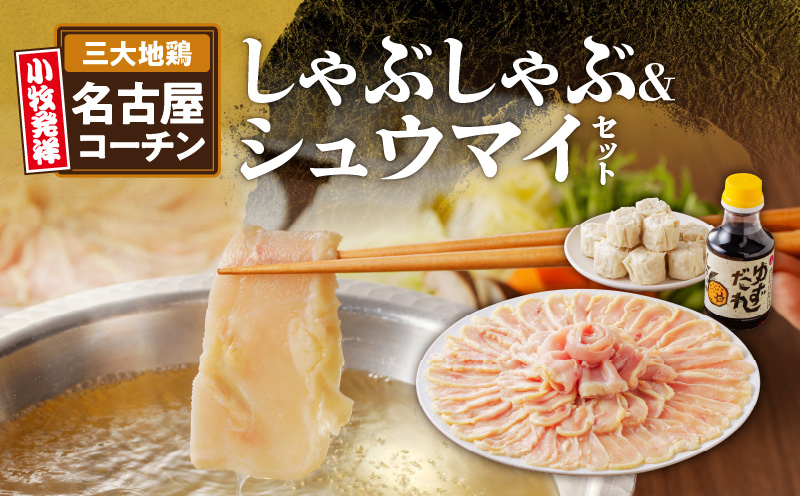 名古屋コーチンしゃぶしゃぶ＆コーチンシュウマイセット　焼売 鶏肉 鍋 鶏しゃぶ